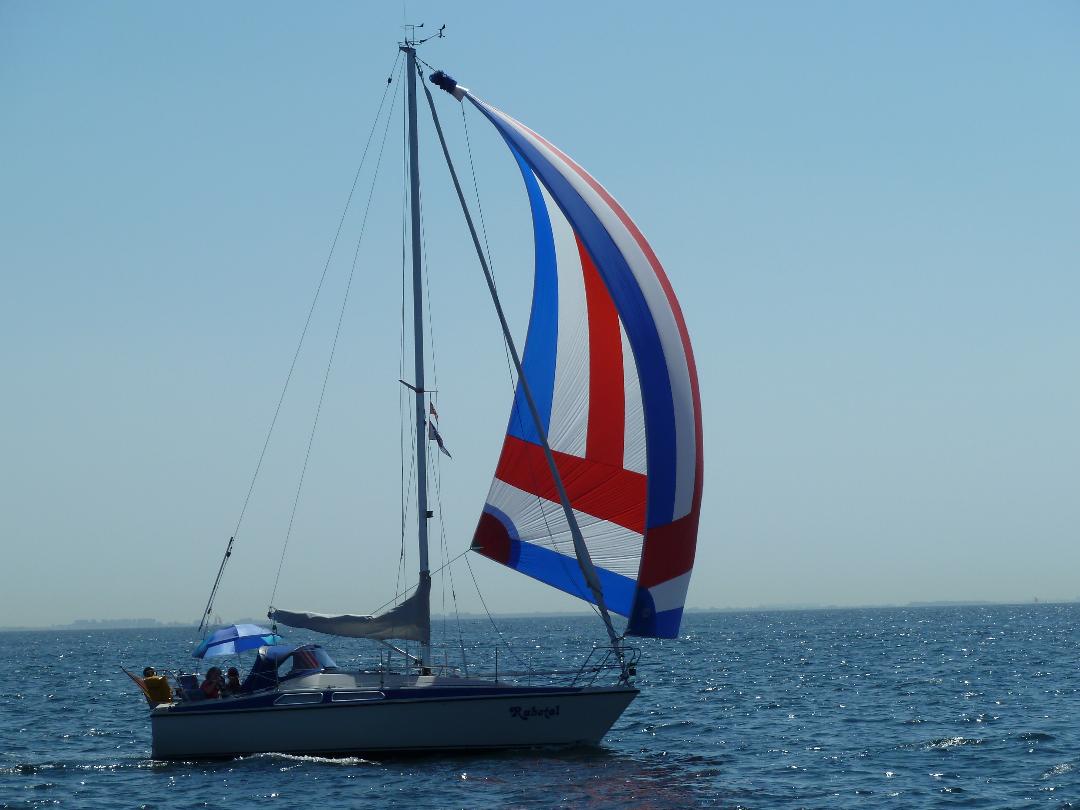 Maxi 84