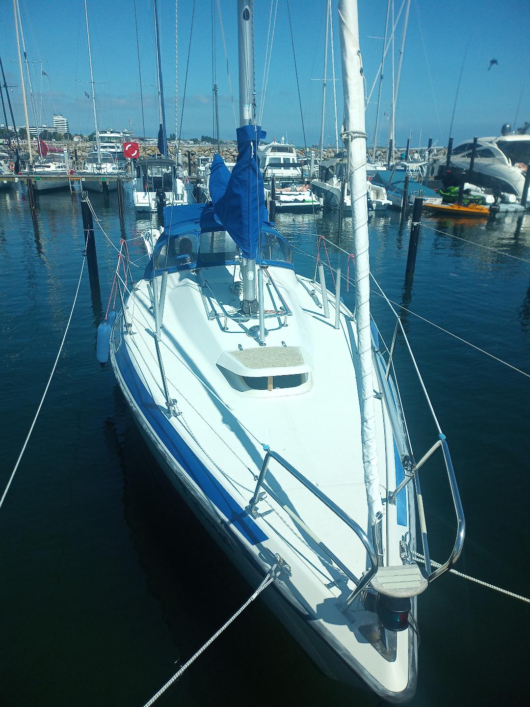 Maxi 84