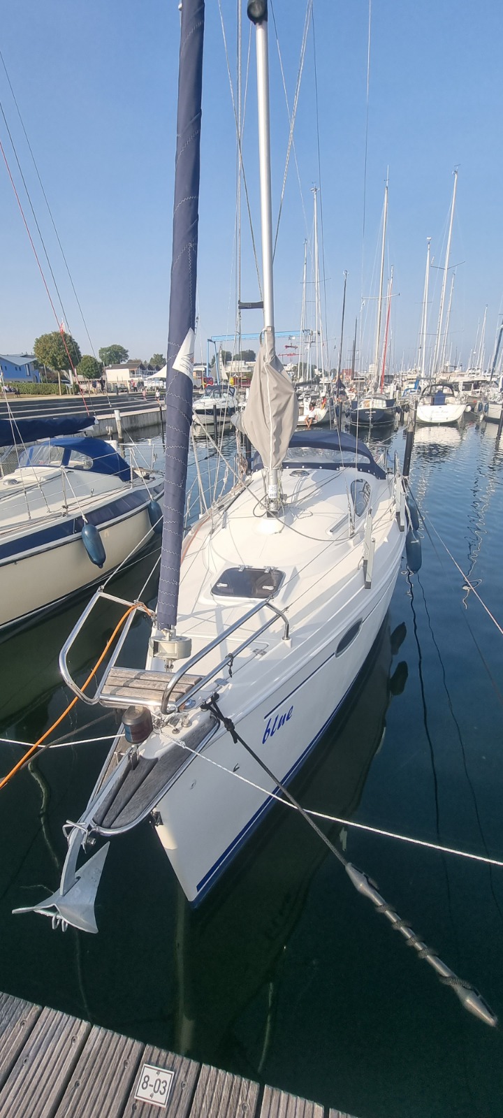 SY Delphia Sportina 760  mit 3,5 To.Trailer