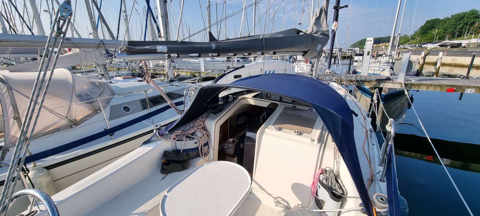 SY Delphia Sportina 760  mit 3,5 To.Trailer
