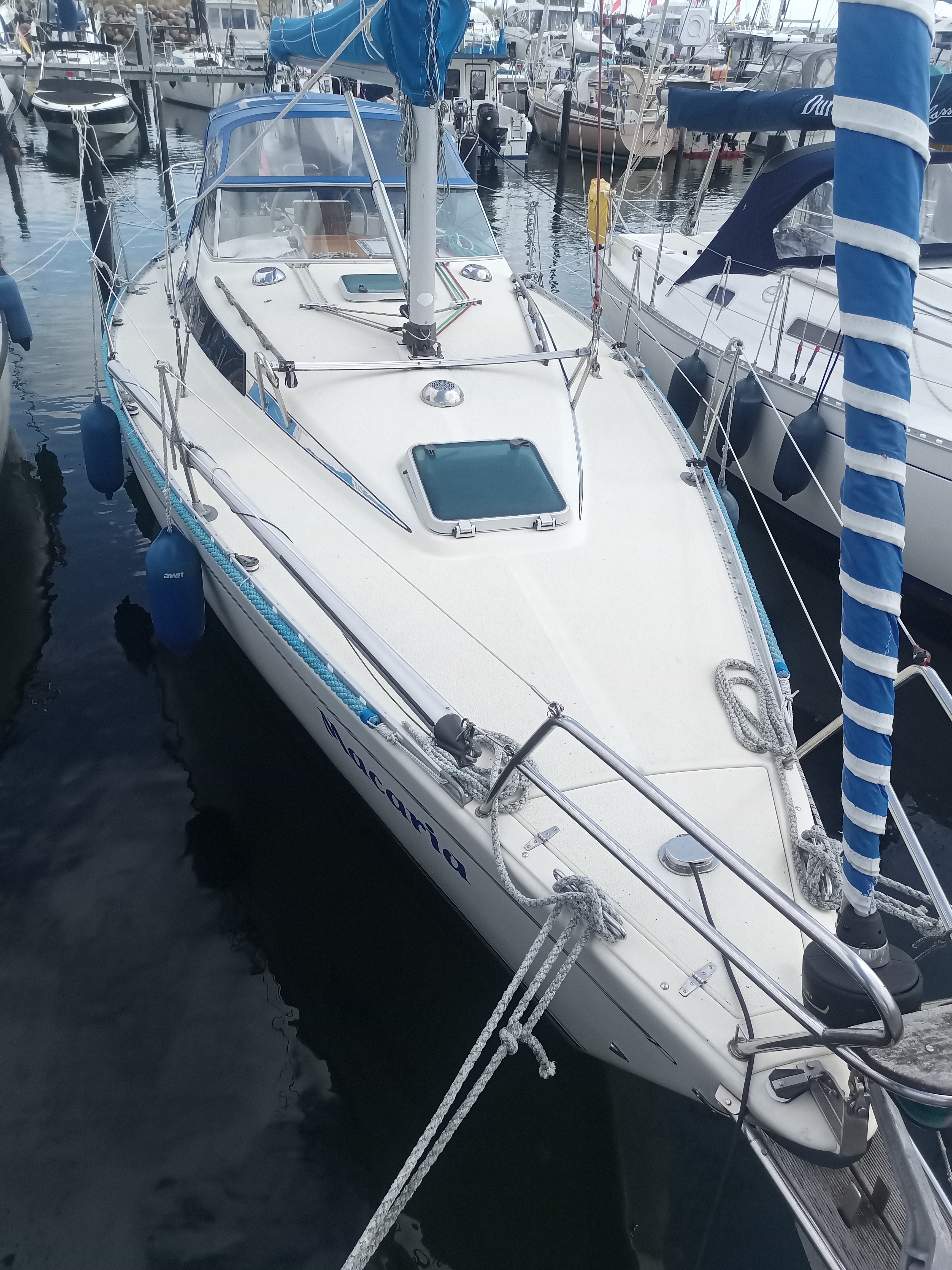 SY Maxi 33