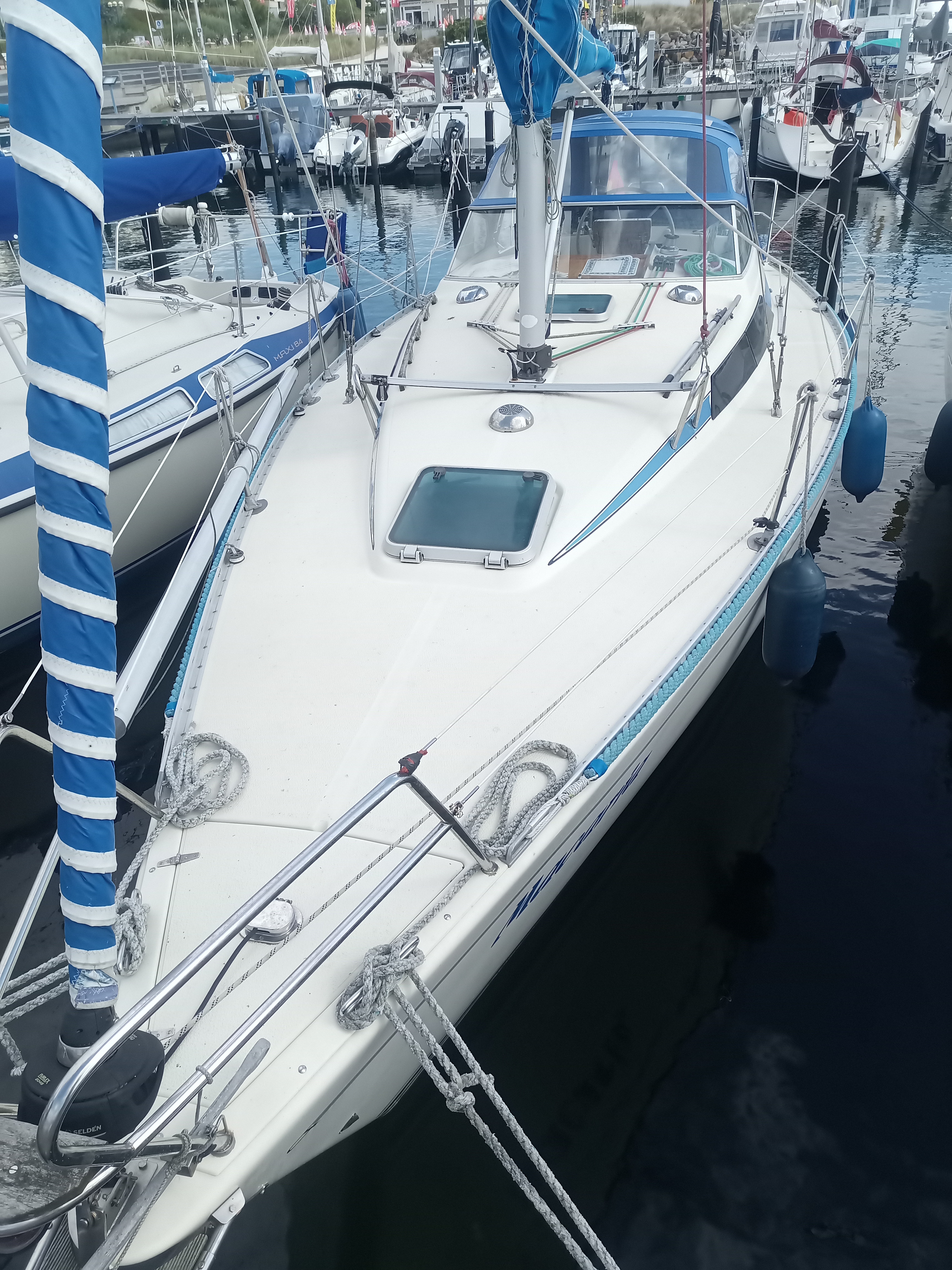 SY Maxi 33