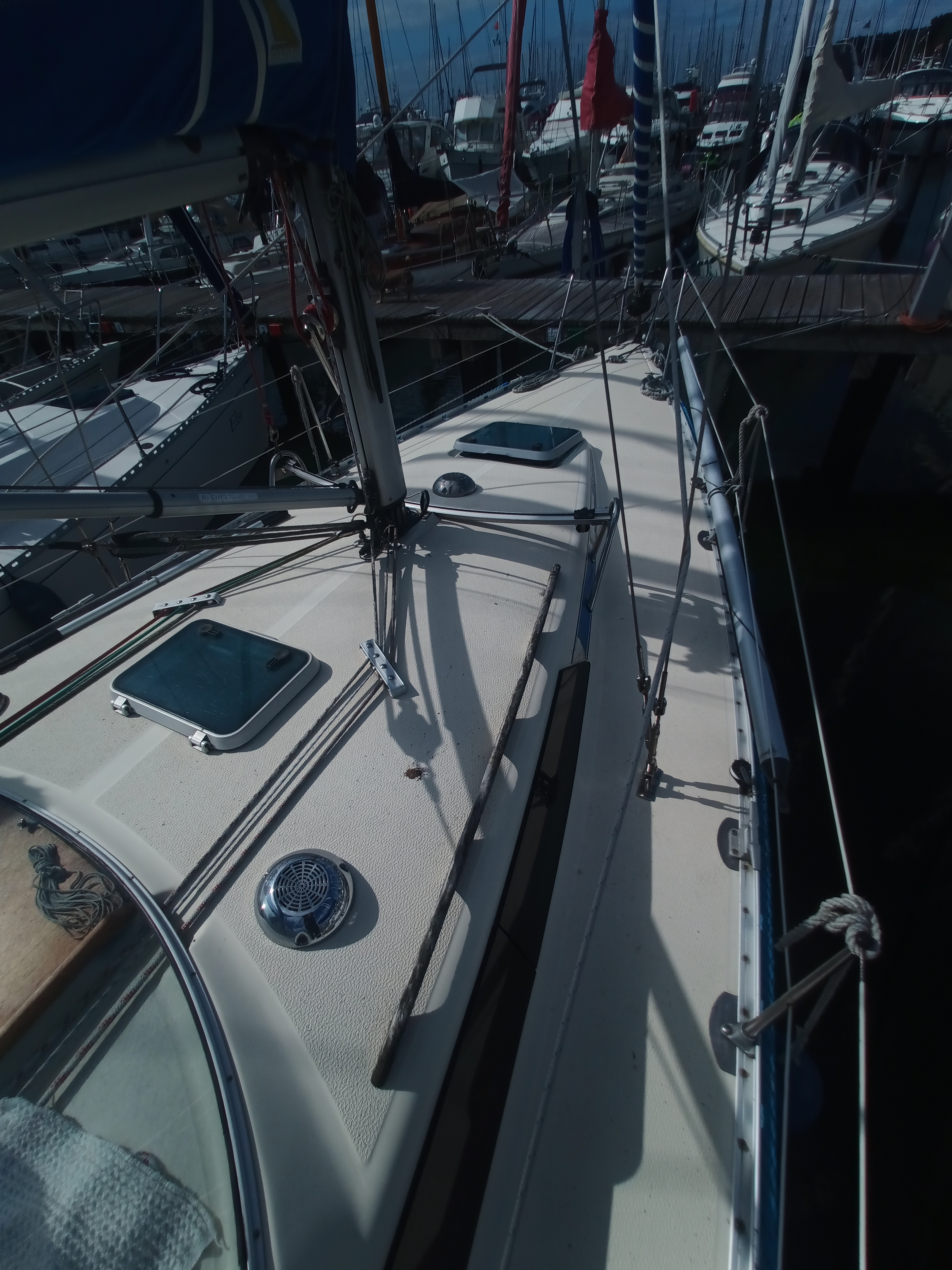 SY Maxi 33